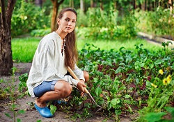 Valuable Lawn Cutting Service in NW6 Area