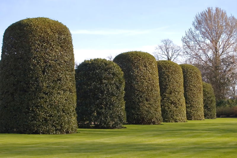 garden maintenance Landscape design